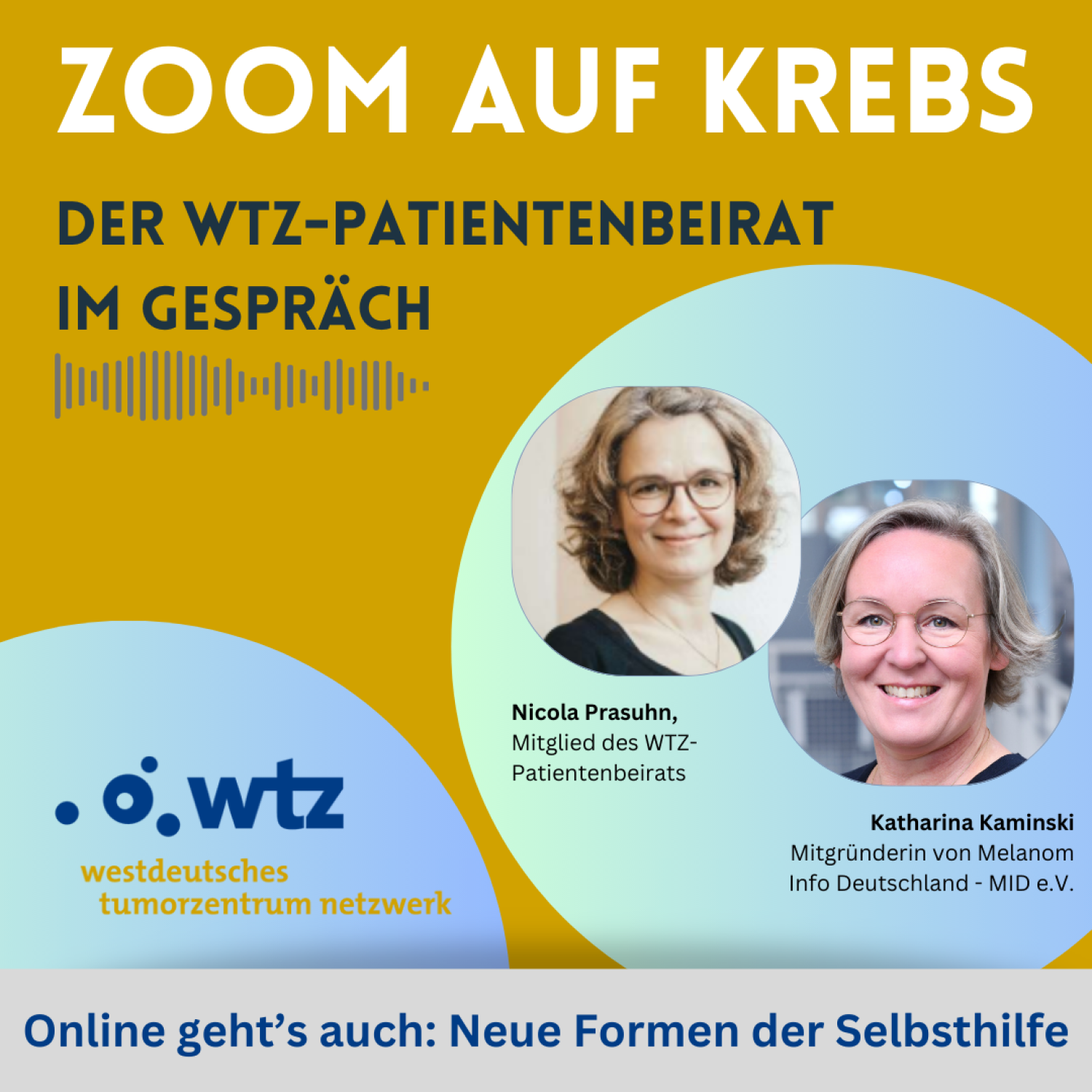 Das Format „Zoom auf Krebs“ geht im Dezember an den Start